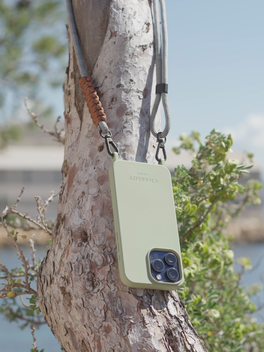 Coque Sauge + Cordon Elie Vichy